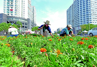 国旗飘扬迎国庆 鲜花装扮气氛浓